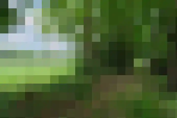 Rondweg 33 Aadorp thumbnail 41