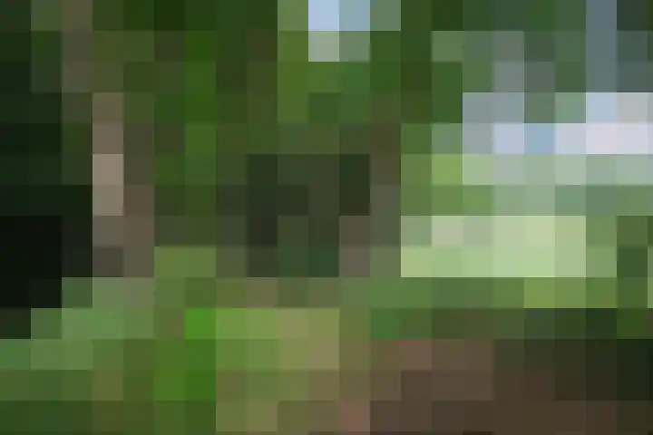 Rondweg 33 Aadorp thumbnail 42