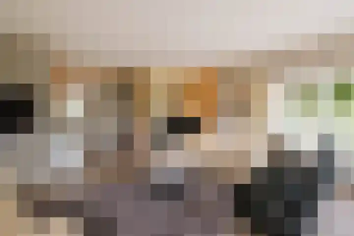 Rondweg 33 Aadorp thumbnail 7