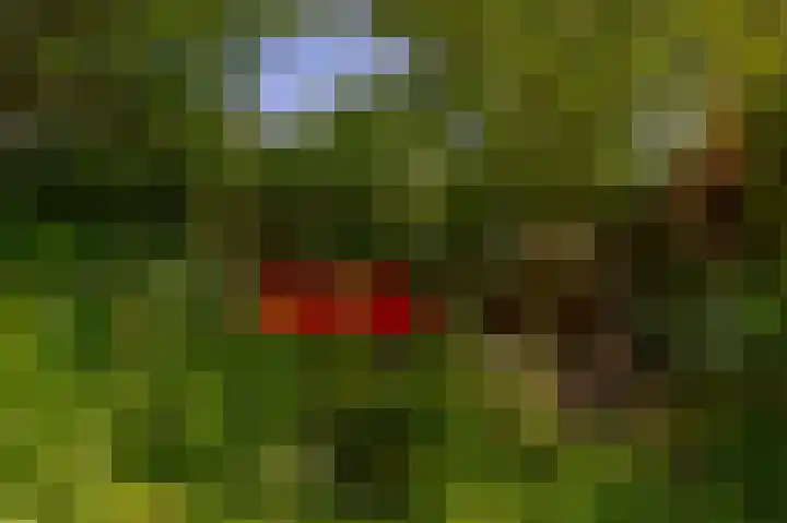 Rondweg 44 Krimpen aan den IJssel thumbnail 39
