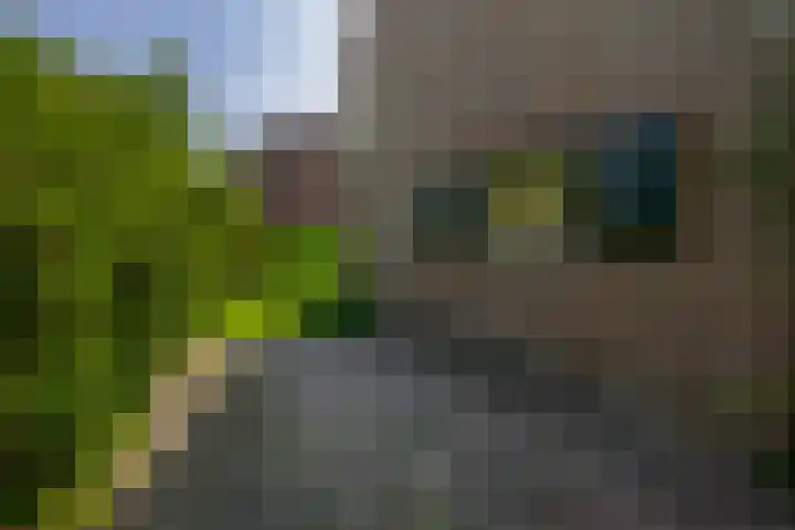Rondweg 44 Krimpen aan den IJssel thumbnail 41
