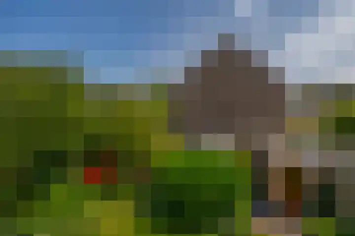 Rondweg 44 Krimpen aan den IJssel thumbnail 42
