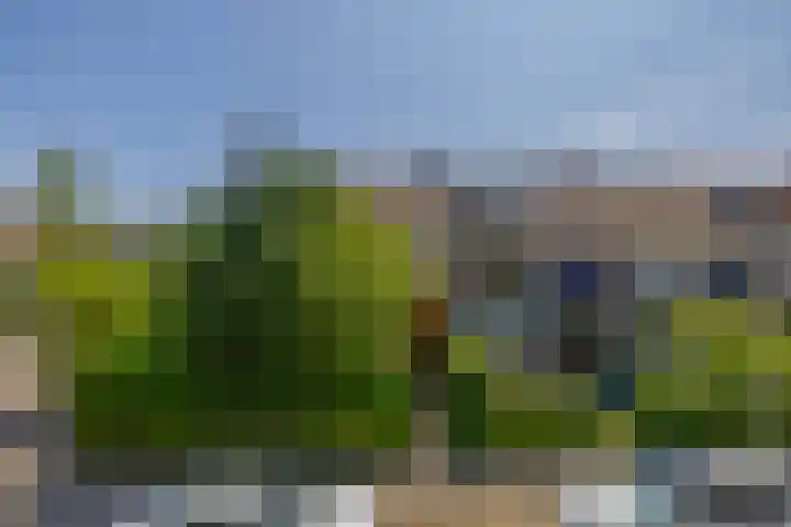 Rondweg 44 Krimpen aan den IJssel thumbnail 5