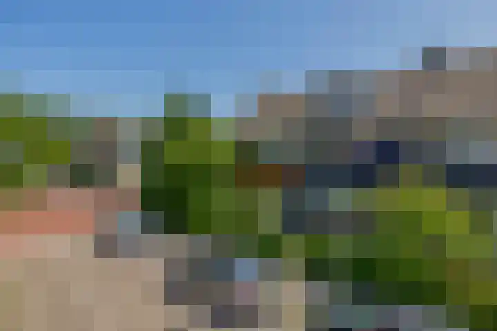 Rondweg 44 Krimpen aan den IJssel thumbnail 7