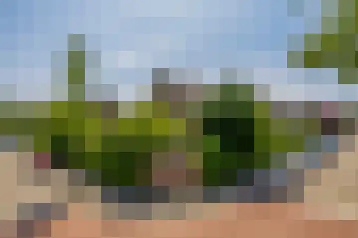 Rondweg 44 Krimpen aan den IJssel thumbnail 8