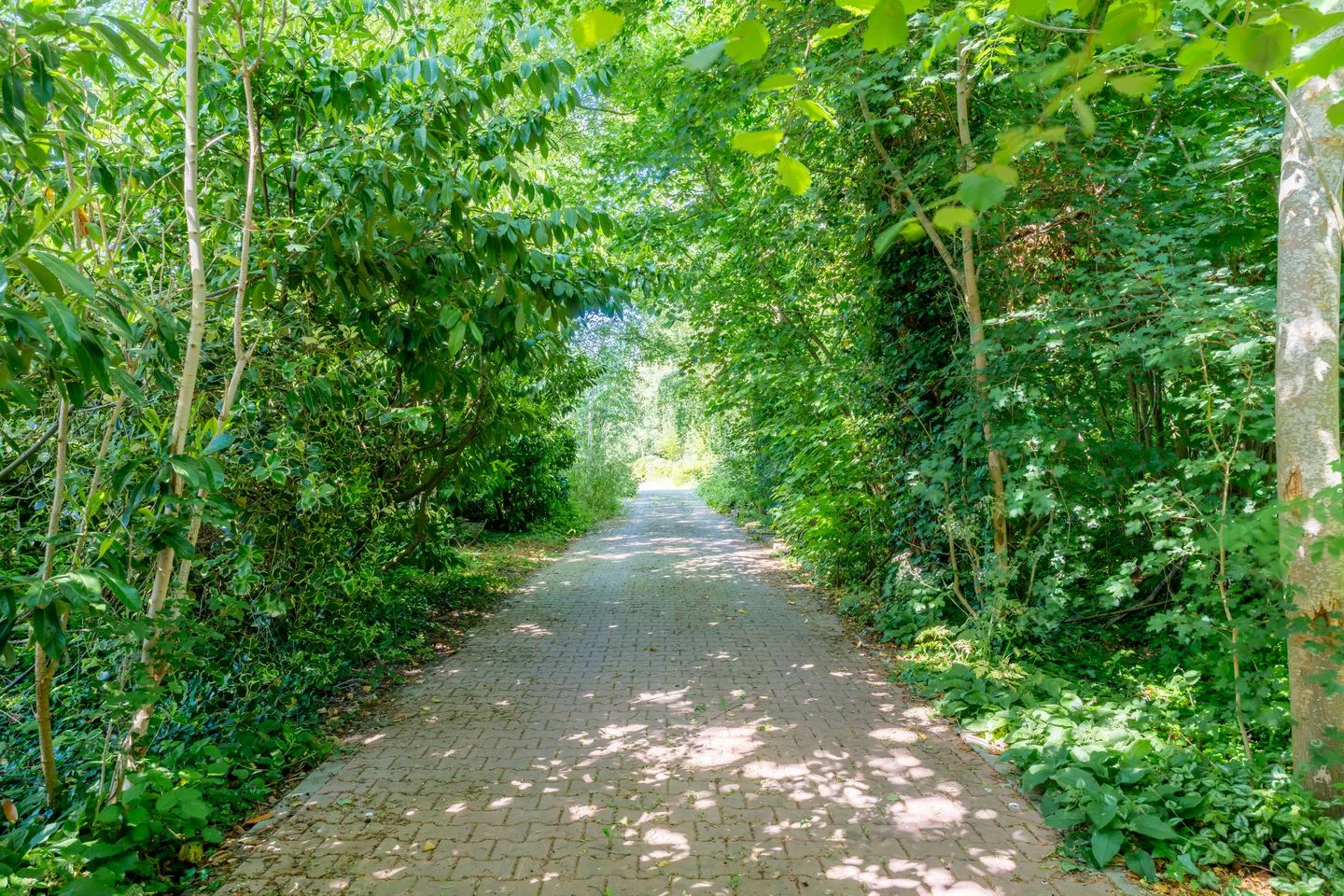 Rondweg 46 Zegveld thumbnail 34