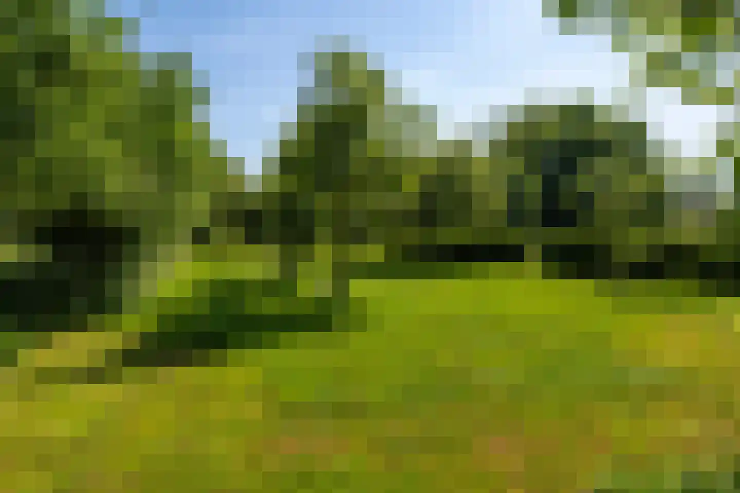 Rondweg 46 Zegveld thumbnail 38