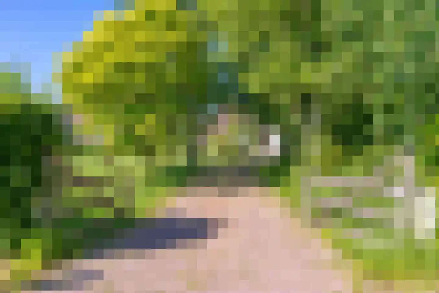 Rondweg 46 Zegveld thumbnail 47