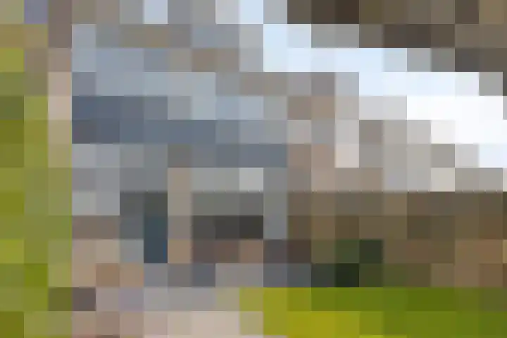 Rondweg 72 Krimpen aan den IJssel thumbnail 31