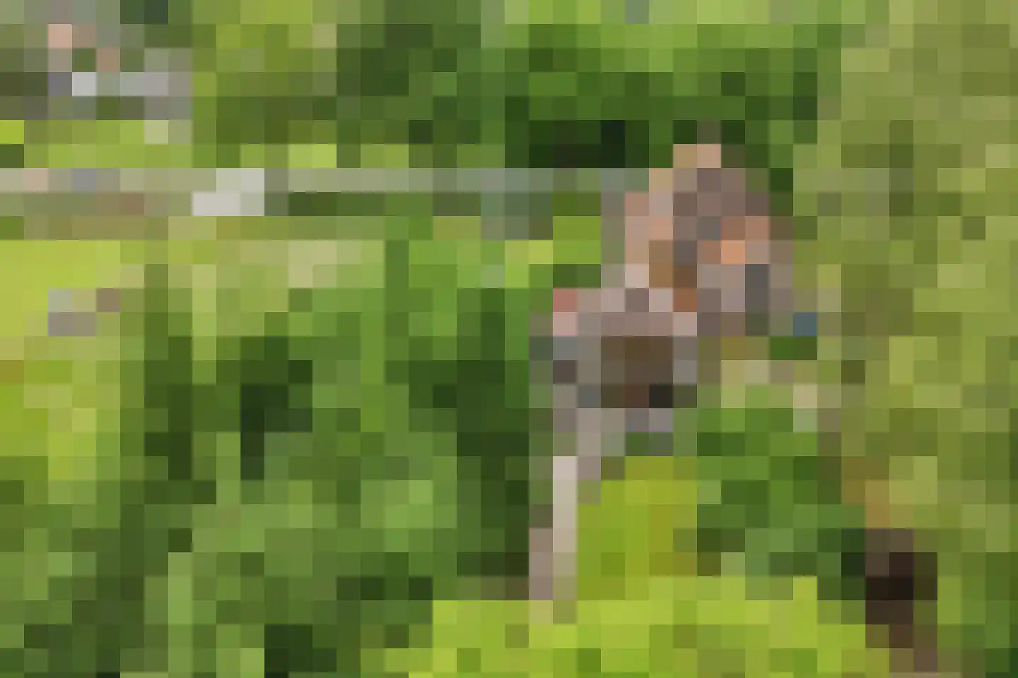 Rondweg 8 Neede thumbnail 39