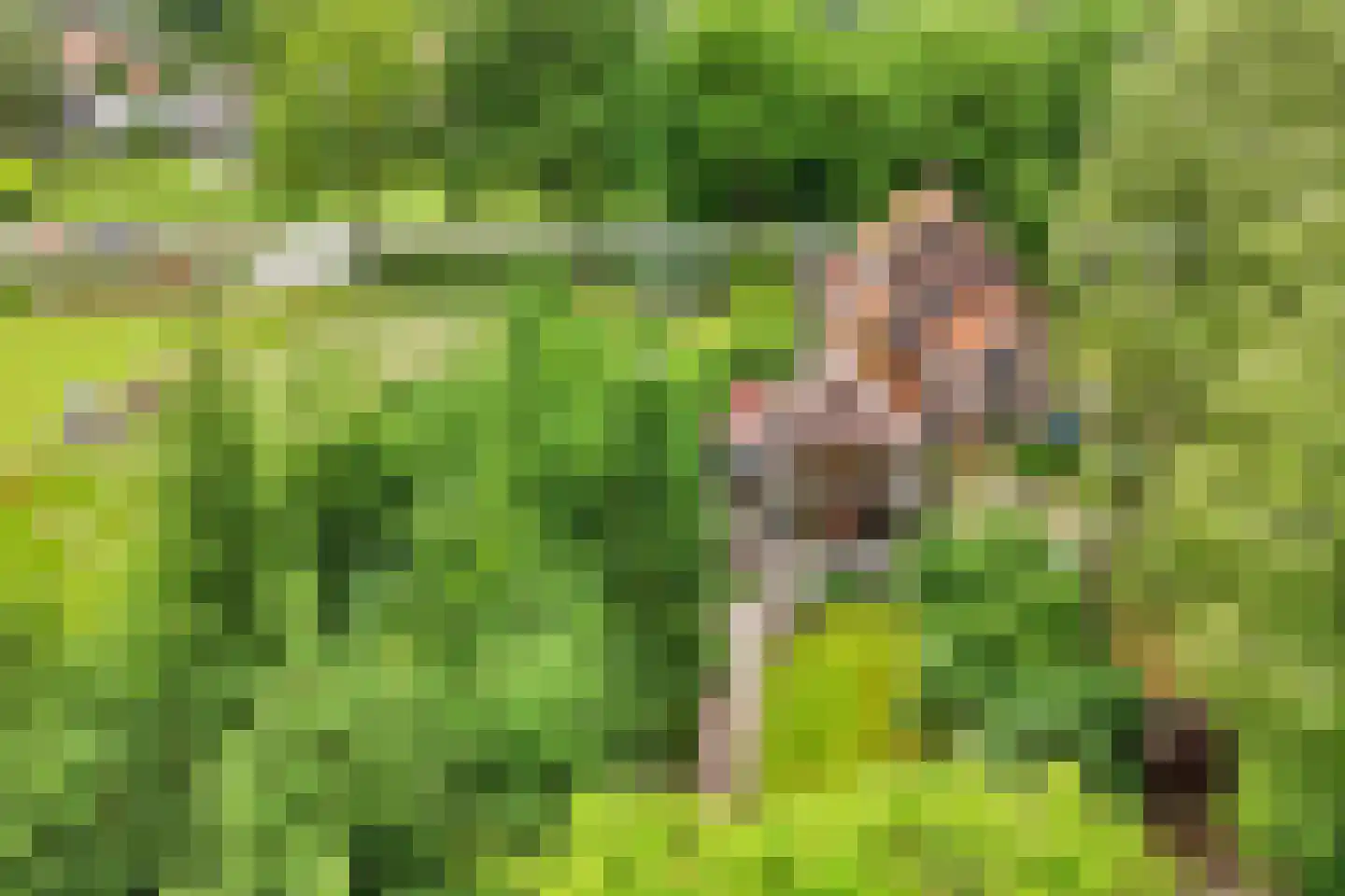 Rondweg 8 Neede thumbnail 39
