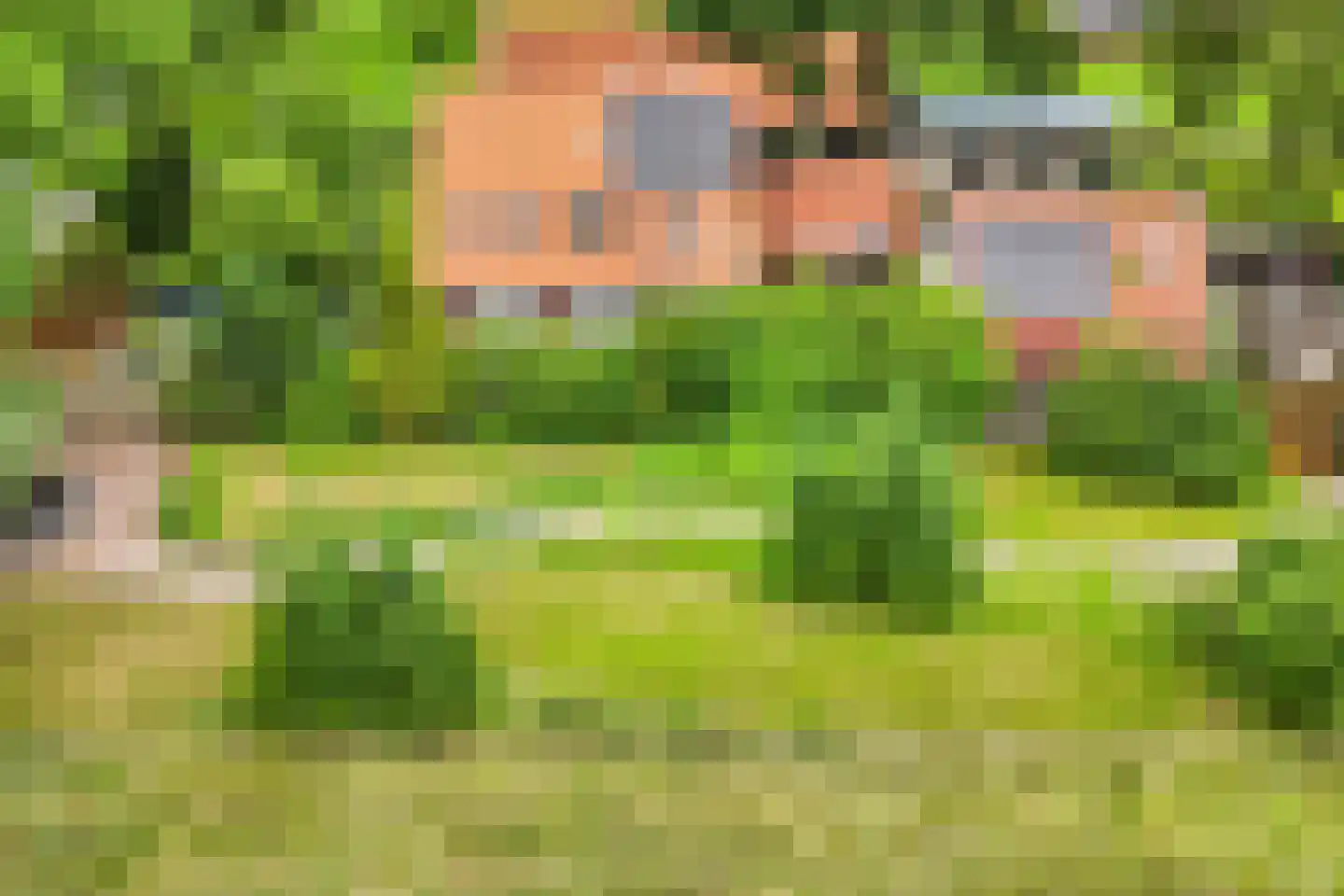 Rondweg 8 Neede thumbnail 4