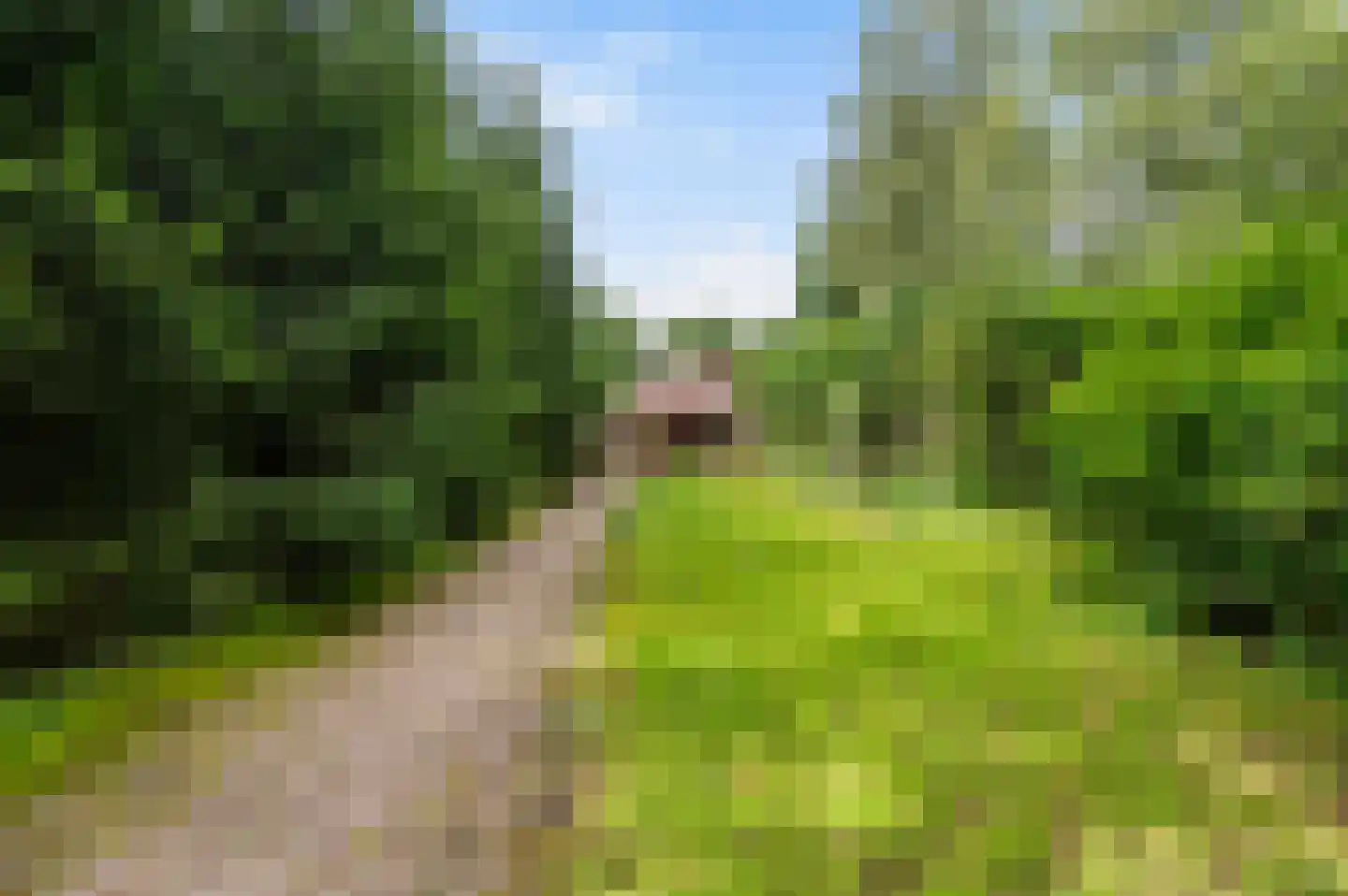 Rondweg 8 Neede thumbnail 40