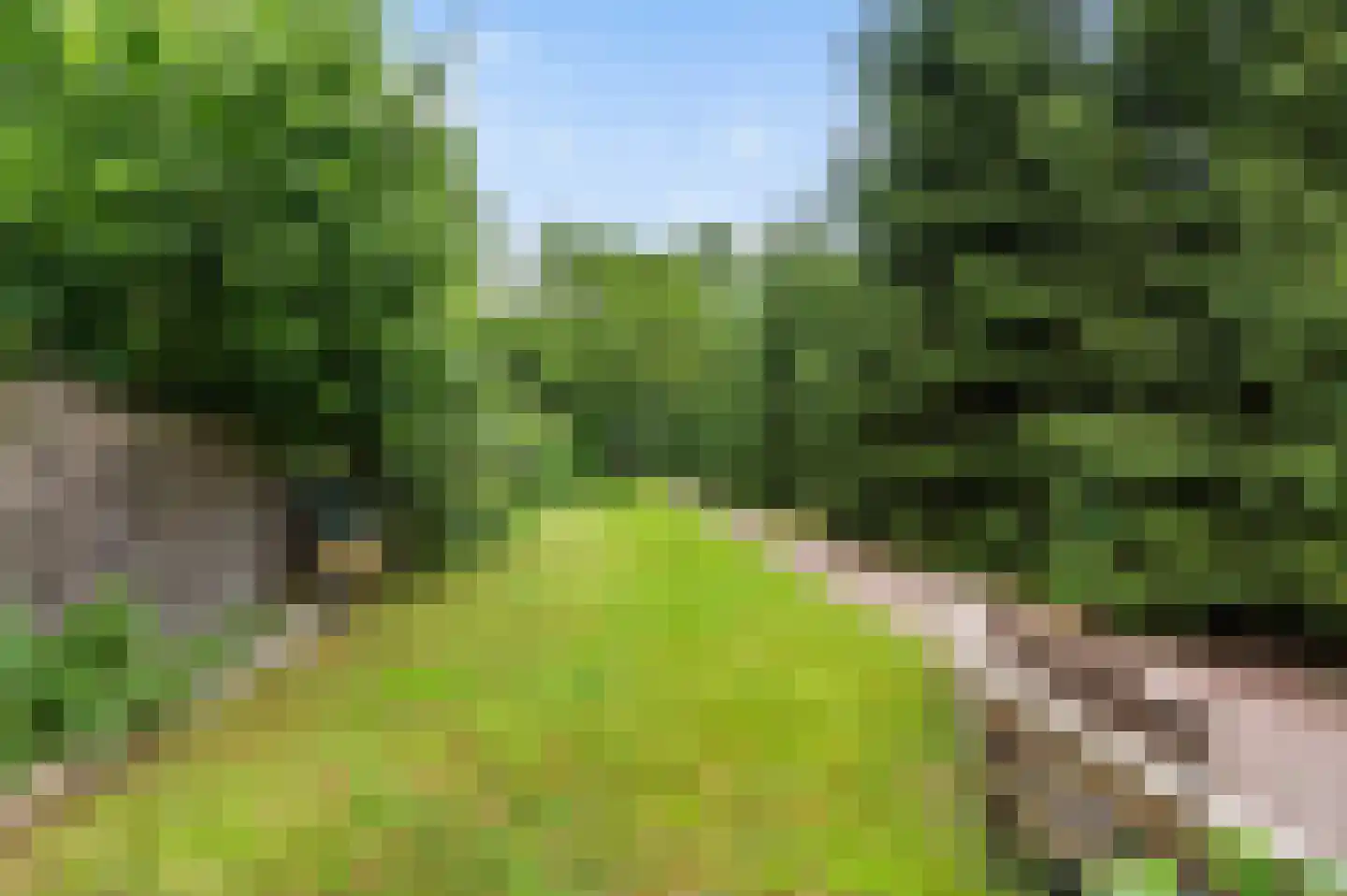 Rondweg 8 Neede thumbnail 43