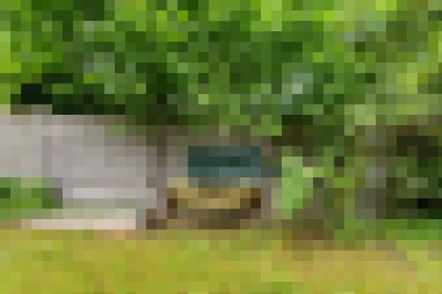 Rondweg 8 Neede thumbnail 44