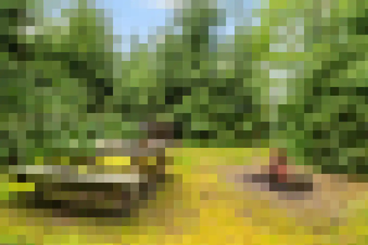 Rondweg 8 Neede thumbnail 46