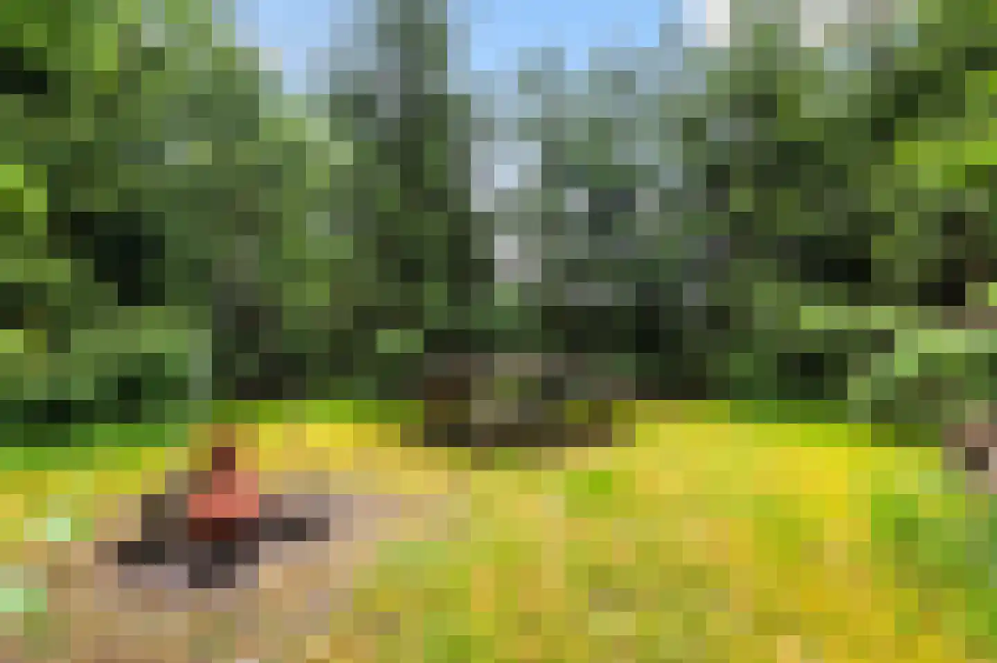 Rondweg 8 Neede thumbnail 47