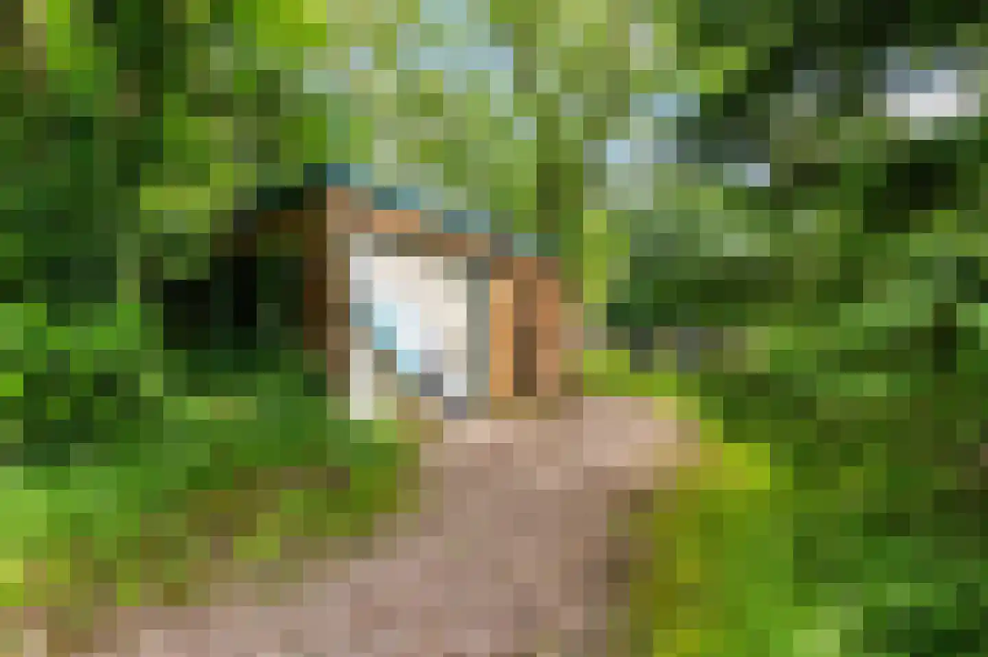 Rondweg 8 Neede thumbnail 48