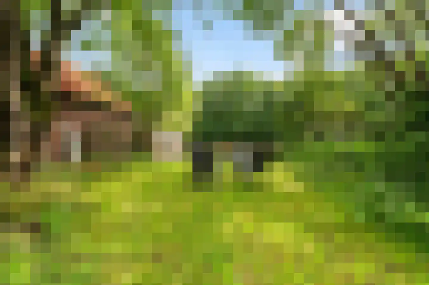 Rondweg 8 Neede thumbnail 49