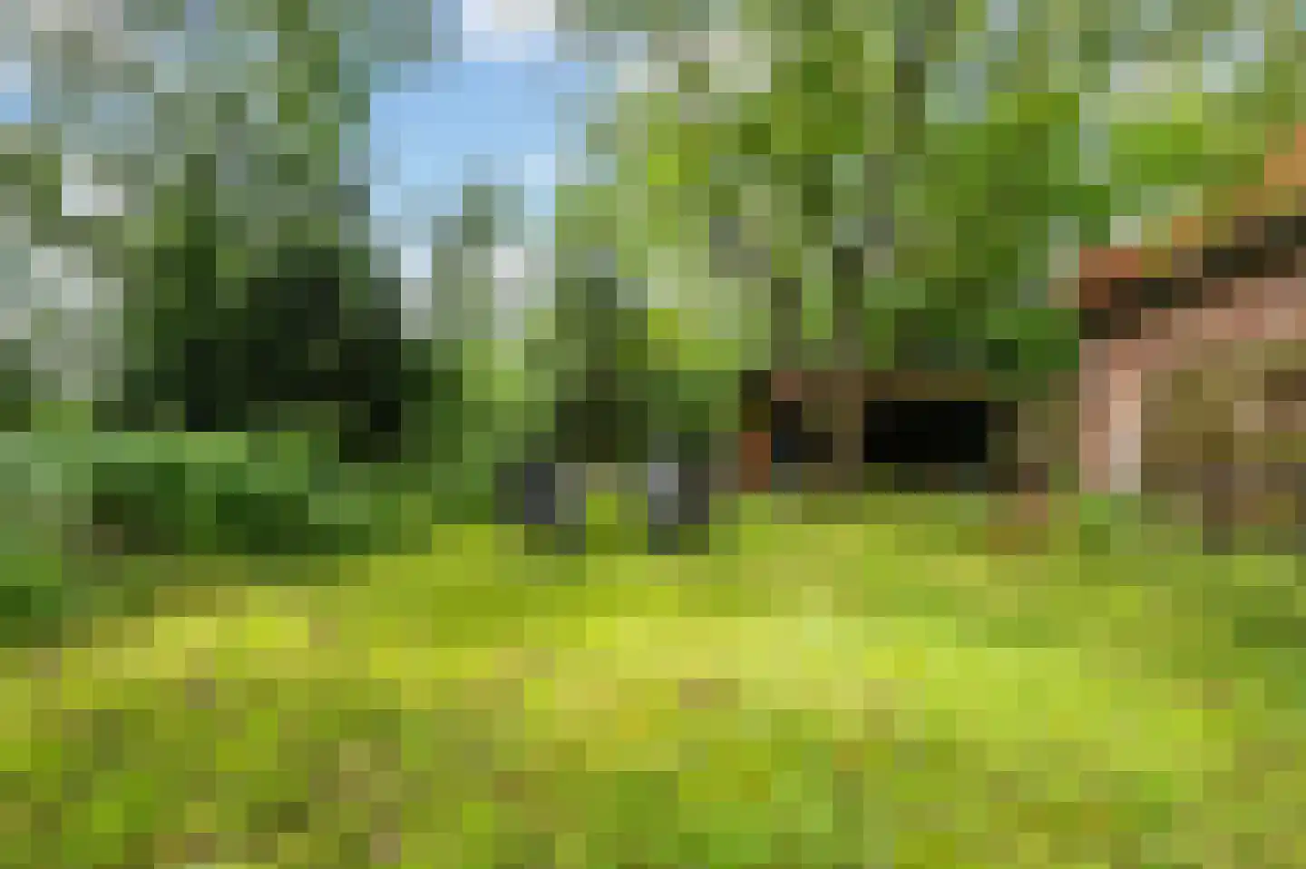Rondweg 8 Neede thumbnail 50