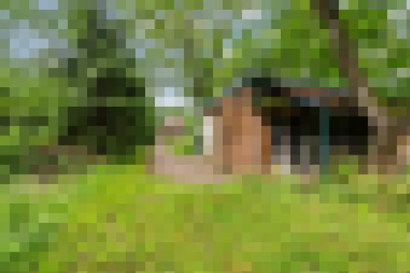 Rondweg 8 Neede thumbnail 51