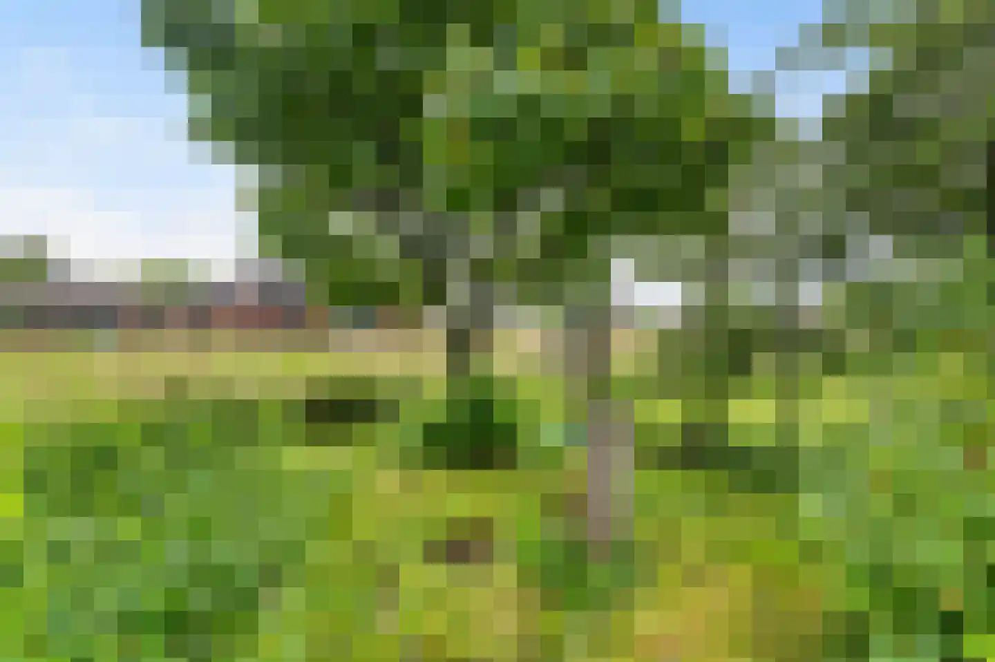 Rondweg 8 Neede thumbnail 54