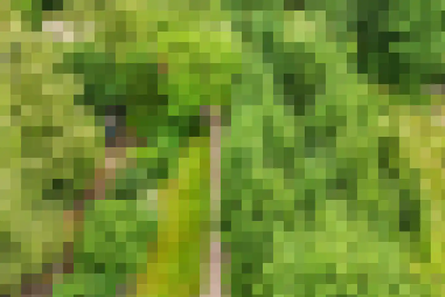 Rondweg 8 Neede thumbnail 59