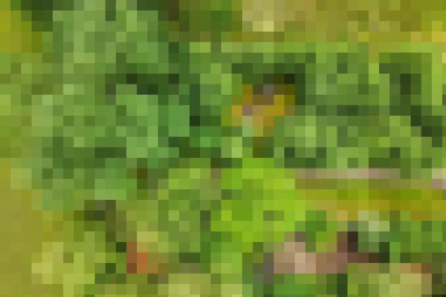 Rondweg 8 Neede thumbnail 60