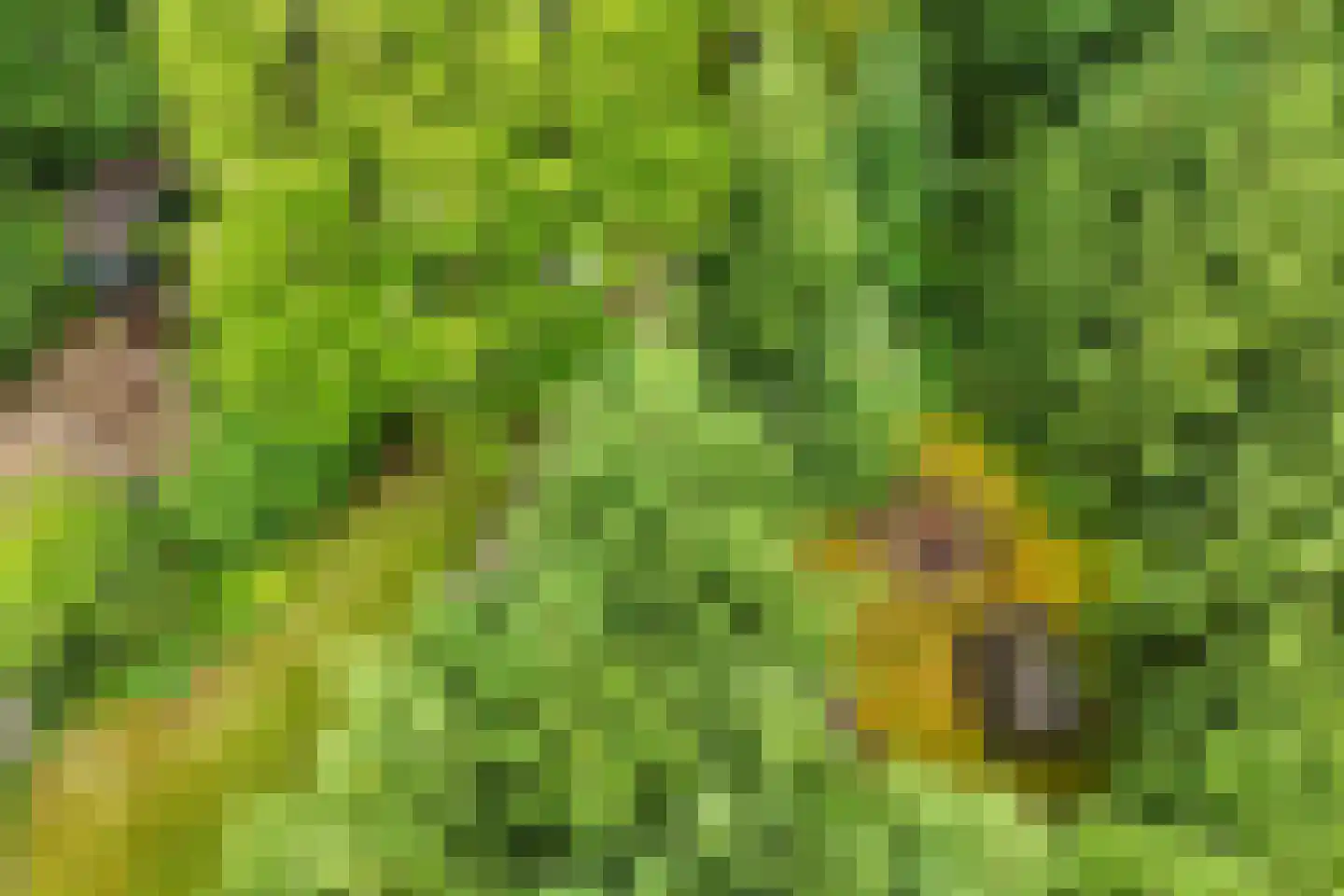 Rondweg 8 Neede thumbnail 61