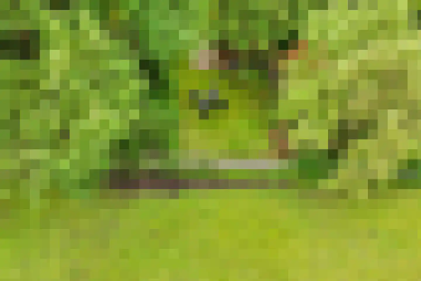 Rondweg 8 Neede thumbnail 62