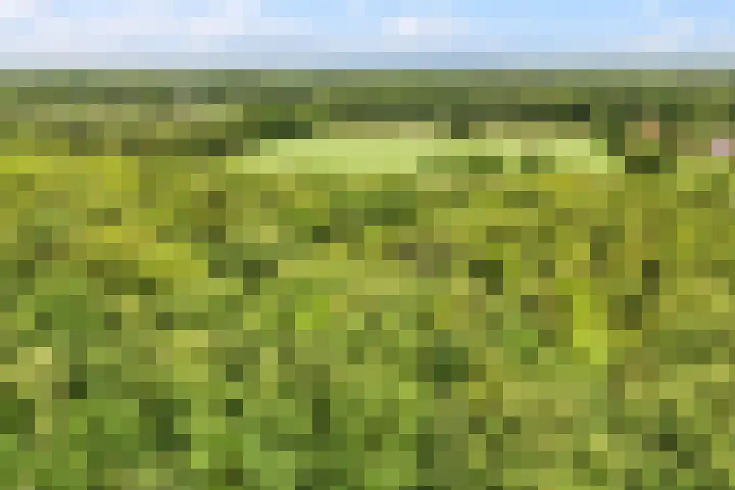 Rondweg 8 Neede thumbnail 63