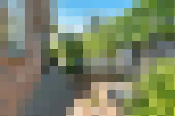 Rondweg 8 Norg thumbnail 21