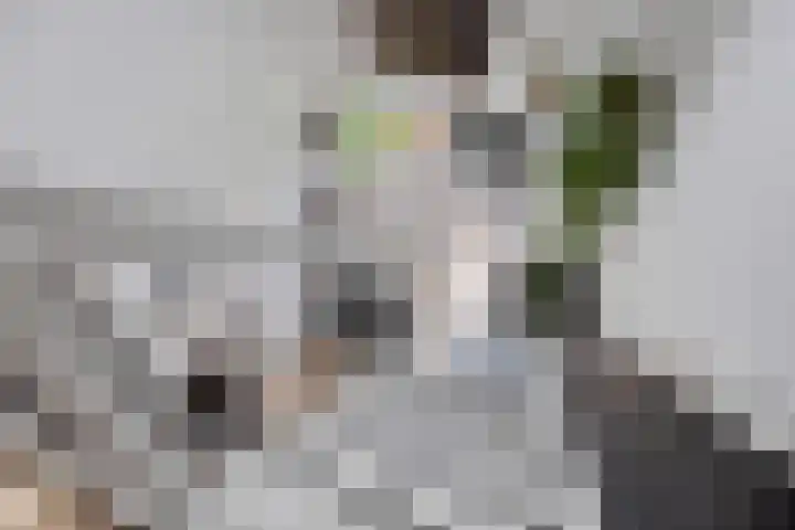 Rondweg 8 Norg thumbnail 24