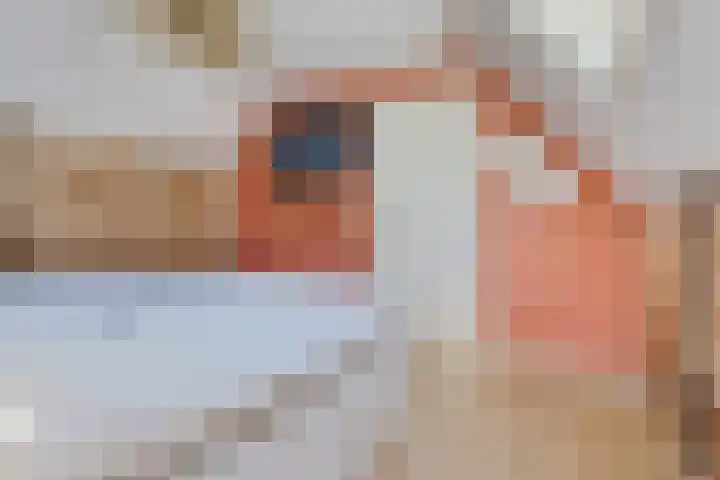 Rondweg 8 Norg thumbnail 29