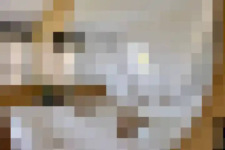 Rondweg 8 Norg thumbnail 38