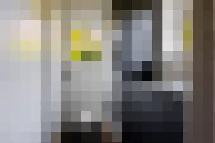 Rondweg 8 Norg thumbnail 40