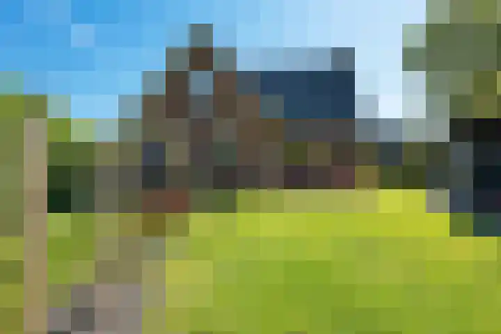 Rondweg 8 Norg thumbnail 41