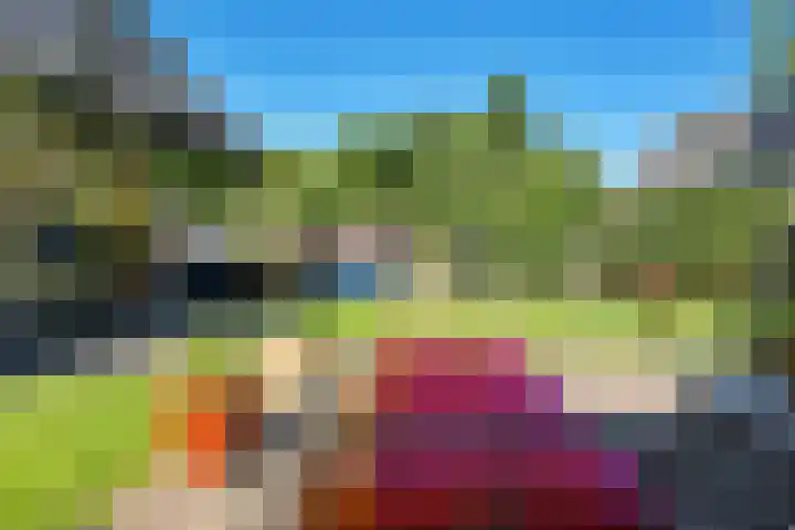Rondweg 8 Norg thumbnail 43