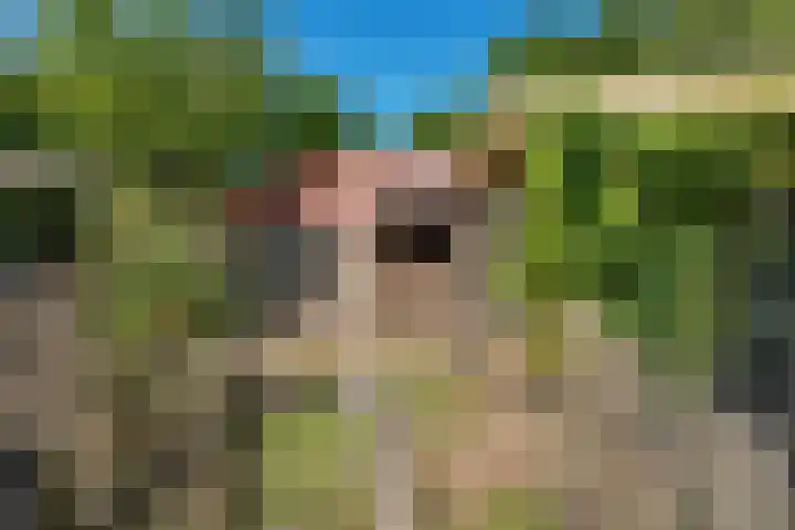 Rondweg 8 Norg thumbnail 46