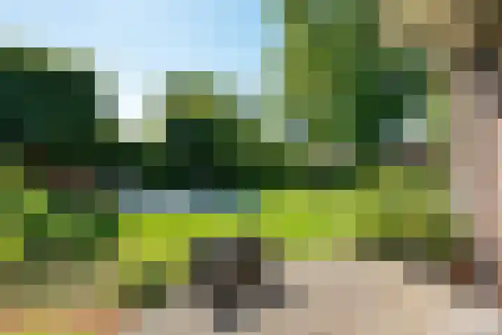Rondweg 8 Norg thumbnail 47