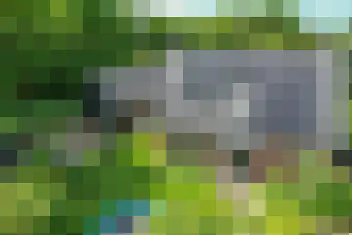 Rondweg 8 Norg thumbnail 50