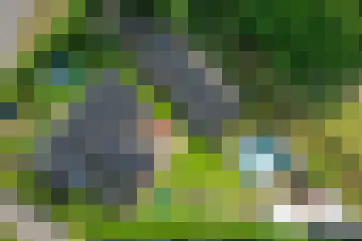 Rondweg 8 Norg thumbnail 51