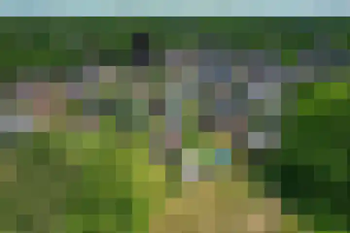 Rondweg 8 Norg thumbnail 52