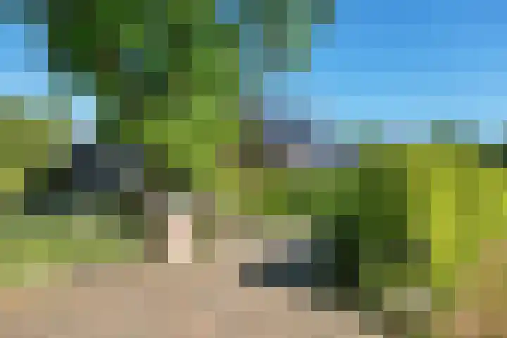 Rondweg 8 Norg thumbnail 53
