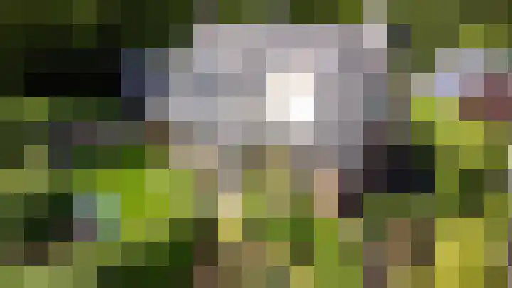Rondweg 8 Norg thumbnail 60