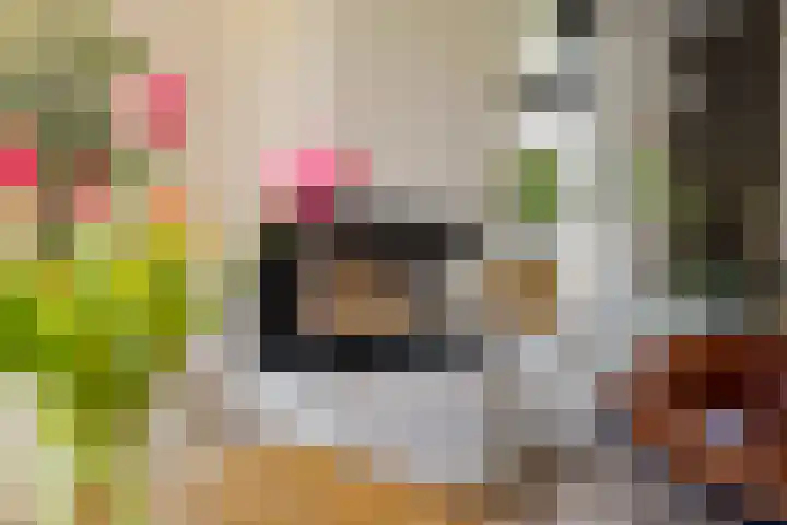 Rondweg 8 Norg thumbnail 9