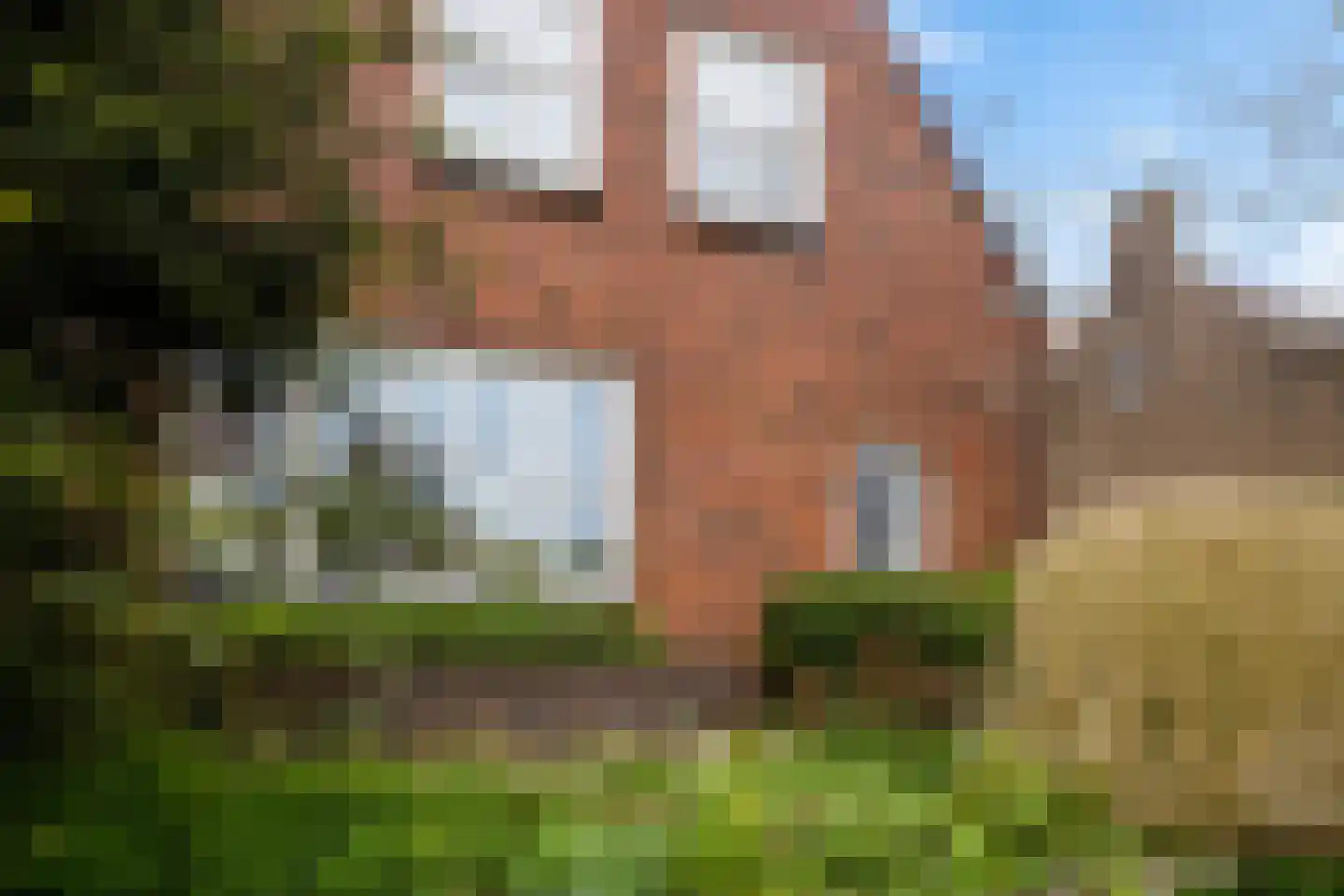 Rondweg-Noord 17 Dokkum thumbnail 10