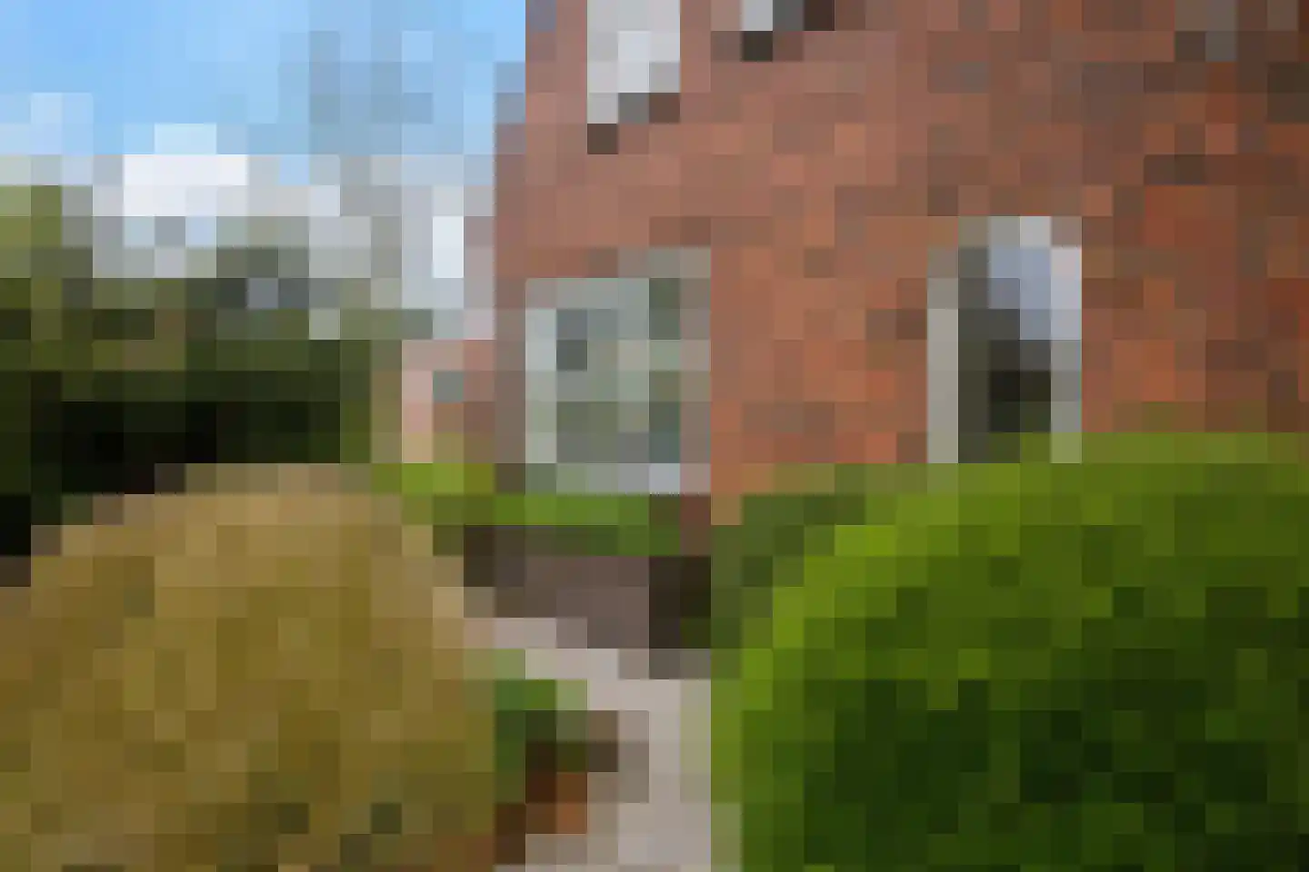 Rondweg-Noord 17 Dokkum thumbnail 12