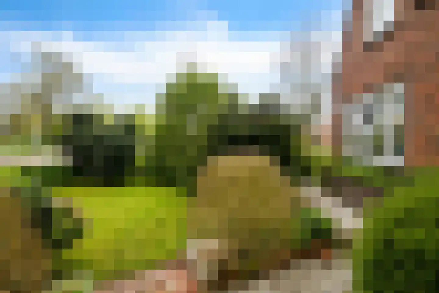 Rondweg-Noord 17 Dokkum thumbnail 13