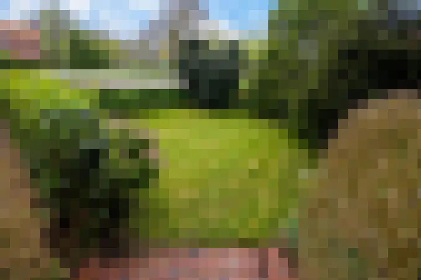 Rondweg-Noord 17 Dokkum thumbnail 15